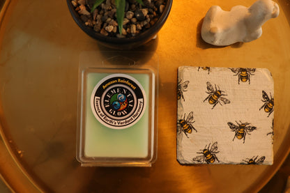 Amazon Rainforest Clamshell