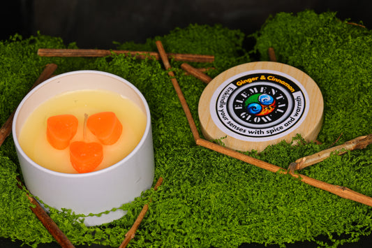 Ginger and Cinnamon 4oz candle