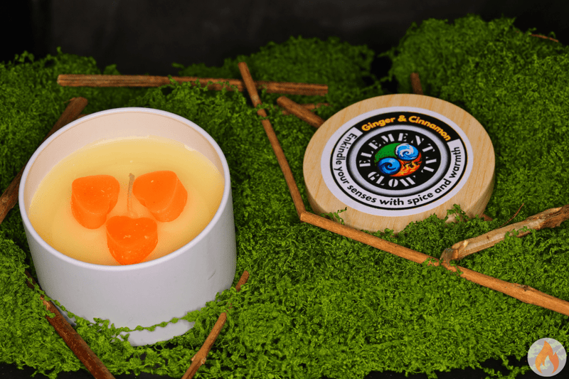 Ginger and Cinnamon 4oz candle - Elemental Glow